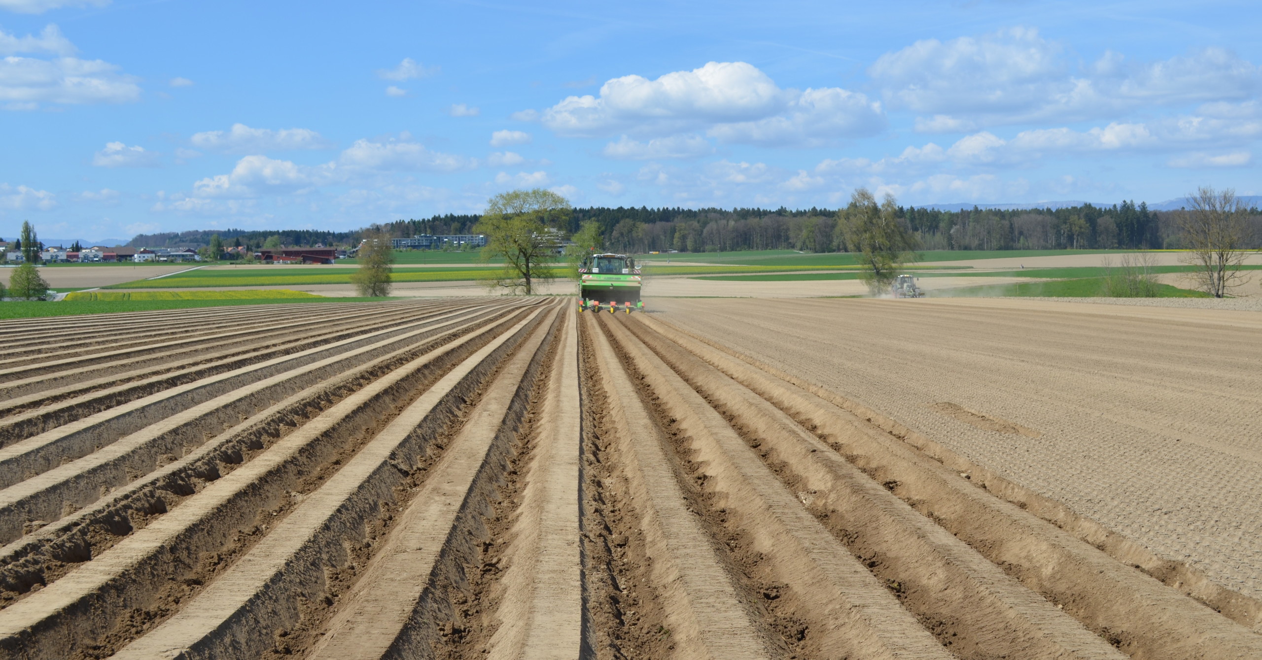 Kartoffelproduktion - Kartoffelfacts - Kartoffel
