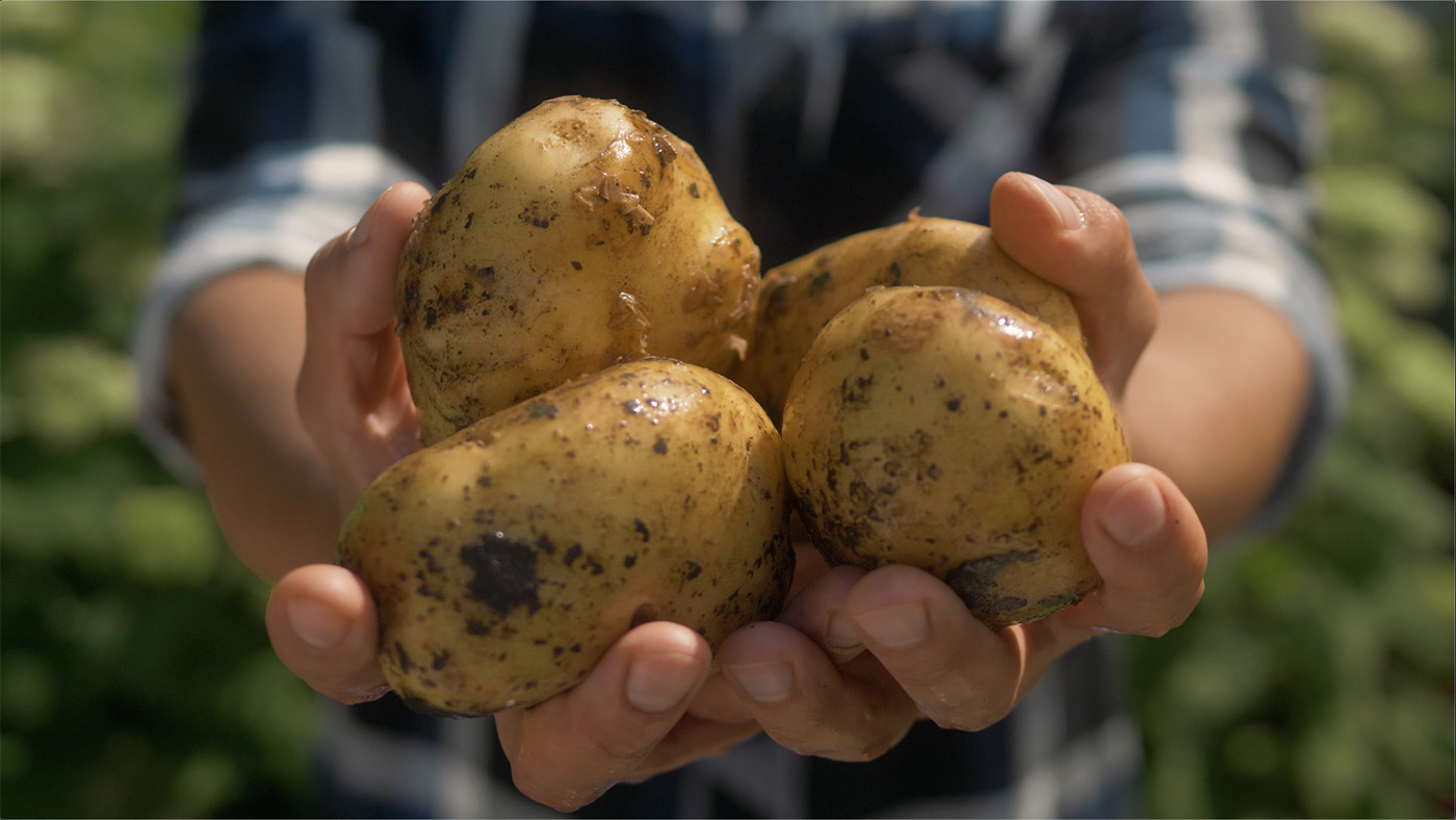 Hausmittel - Kartoffelfacts - Kartoffel